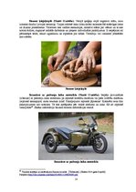 Referāts 'Rekreatīvo aktivitāšu piedāvājuma izstrāde Raunas pašvaldībai', 18.