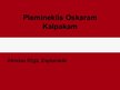 Prezentācija 'Brīvības cīņu pieminekļi', 24.