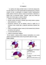 Referāts 'SIA "Lattelekom" saimnieciskās darbības analīze', 15.
