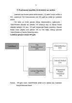 Referāts 'SIA "Lattelekom" saimnieciskās darbības analīze', 21.