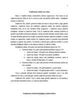 Referāts 'Uzņēmuma SIA "Kikele” stratēģijas formulējums', 2.