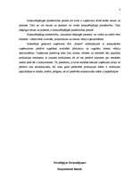 Referāts 'Uzņēmuma SIA "Kikele” stratēģijas formulējums', 3.