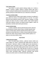 Referāts 'Uzņēmuma SIA "Kikele” stratēģijas formulējums', 4.