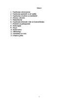 Biznesa plāns 'SIA “Latvijas koks”', 2.