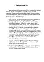 Referāts 'Skelets', 2.
