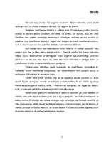 Eseja 'Datorspēļu ietekme uz cilvēku', 3.