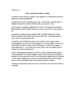 Konspekts 'Integrēta nodarbība sākumskolā ar dominanti mājturībā', 6.