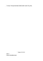 Prakses atskaite 'Sociālo zinību skolotājs pamatskolā', 13.