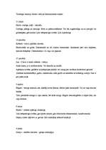 Prakses atskaite 'Sociālo zinību skolotājs pamatskolā', 16.