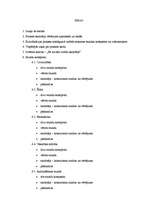 Prakses atskaite 'Sociālo zinību skolotājs pamatskolā', 39.