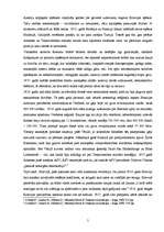 Referāts 'Pirmā pasaules kara iemesli', 5.