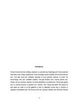 Referāts 'Pirmā pasaules kara iemesli', 12.