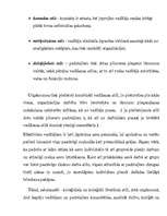 Konspekts 'Uzņēmuma vadīšanas stili', 5.