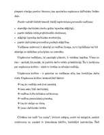 Konspekts 'Uzņēmuma vadīšanas stili', 6.