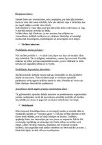 Prakses atskaite 'Vērojumu prakse sākumskolā', 4.