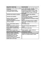 Prakses atskaite 'Vērojumu prakse sākumskolā', 20.