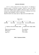 Referāts 'Lietišķā komunikācija uzņēmumā "X"', 4.