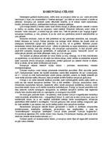 Referāts 'Korupcija', 5.