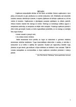 Konspekts 'Uzņēmumu konkurējošās vērtības', 5.