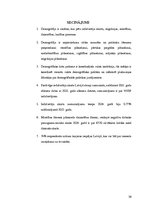 Diplomdarbs 'Demogrāfiskā situācija Latvijā', 36.