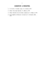 Referāts 'Trīs pasaules reliģiju salīdzinājums - islams, budisms un kristietība', 7.