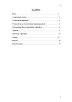 Referāts 'Organizācijas struktūra no organizāciju teorijas viedokļa', 2.