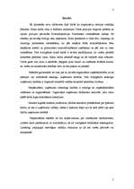 Referāts 'Organizācijas struktūra no organizāciju teorijas viedokļa', 3.