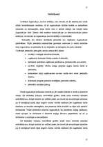 Referāts 'Organizācijas struktūra no organizāciju teorijas viedokļa', 17.