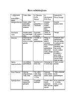 Konspekts 'Restorānu, viesnīcu, bāru, atpūtas vietu salīdzinājums', 4.