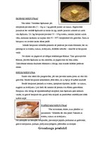 Konspekts 'Biezputras', 3.