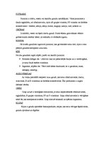 Konspekts 'Biezputras', 4.