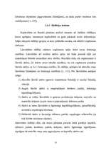 Referāts 'A/s "Parex banka" finanšu veselīguma novērtējums', 13.