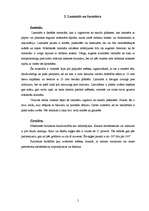 Prakses atskaite 'Prakses atskaite mēbeļu izgatavošanas uzņēmumā', 5.