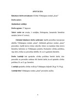 Diplomdarbs 'Человек в романе В.Маканина "Асан"', 3.