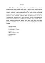 Referāts 'Romiešu tradīcijas Kolīnas Makkalovas romānā "Pirmais vīrs Romā"', 2.