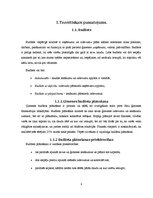 Referāts 'Ģimenes budžeta plānošana', 4.