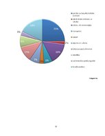Referāts 'Ģimenes budžeta plānošana', 11.