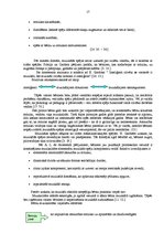 Referāts 'Mūzika kā pirmsskolas jaunākā vecuma bērna attīstības veicinošs faktors', 17.