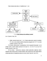 Referāts 'Piena produktu uzturvērtības palielināšanas iespējas', 6.