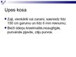 Prezentācija 'Kosas', 8.