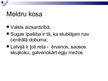 Prezentācija 'Kosas', 22.