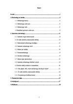 Referāts 'Interneta mārketings', 2.