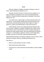 Referāts 'Interneta mārketings', 3.