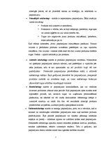 Referāts 'Interneta mārketings', 7.