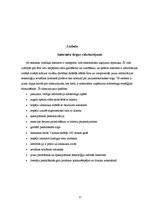 Referāts 'Interneta mārketings', 12.