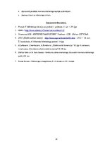 Referāts 'Interneta mārketings', 28.