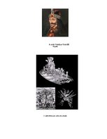 Referāts 'Mistiskas būtnes un parādības - mīts vai patiesība', 37.