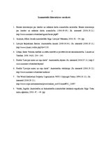 Referāts 'Fotogrāfisko darbu aizsardzība un plaģiātisms', 8.