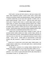 Referāts 'Sociālās kustības "Rainbow Family of The Living Light" analīze', 6.