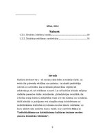 Referāts 'Kontentanalīze. Individuālisma un kolektīvisma kultūras iezīmes modes zīmolu dru', 2.